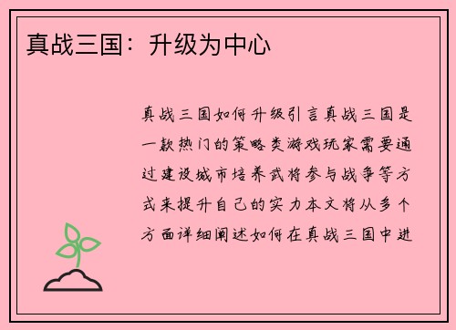 真战三国：升级为中心